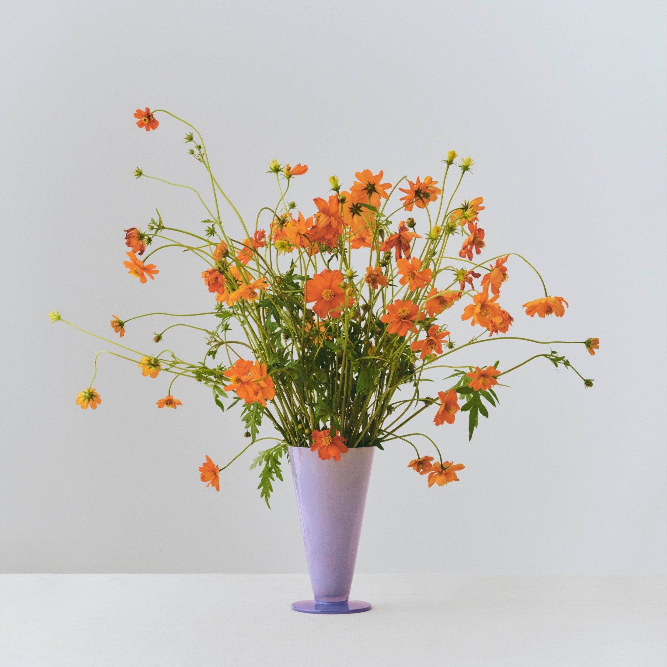 Vase Conical small bleu clair et bleu lavande