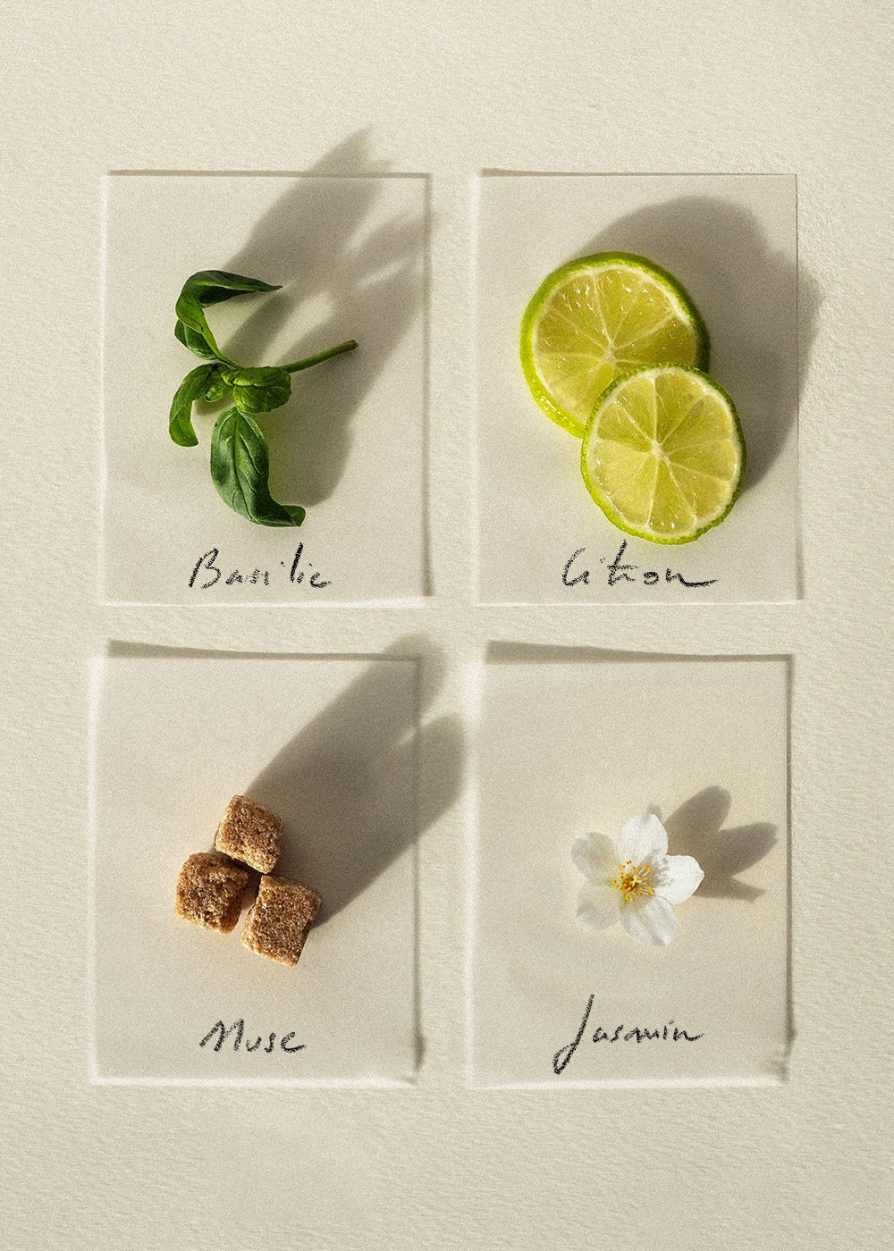 Bougie parfumée « Basilic Citron »
