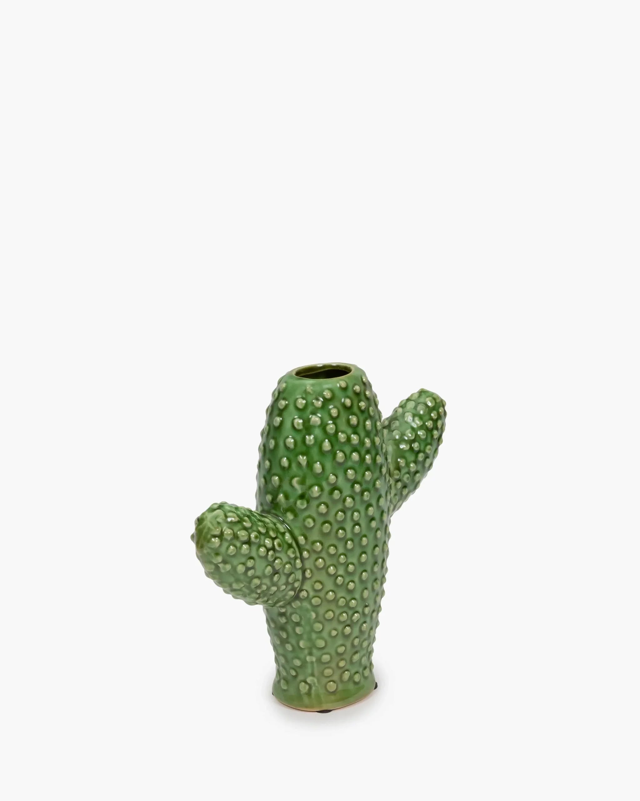 Cactus Vase S – Vert Urban Jungle