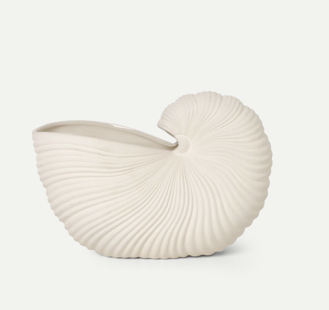 Vase Shell Pot