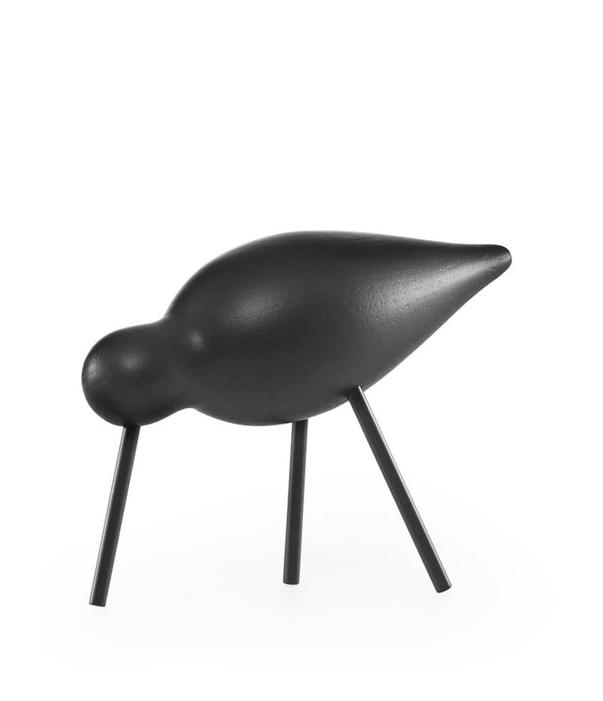 Shorebird black