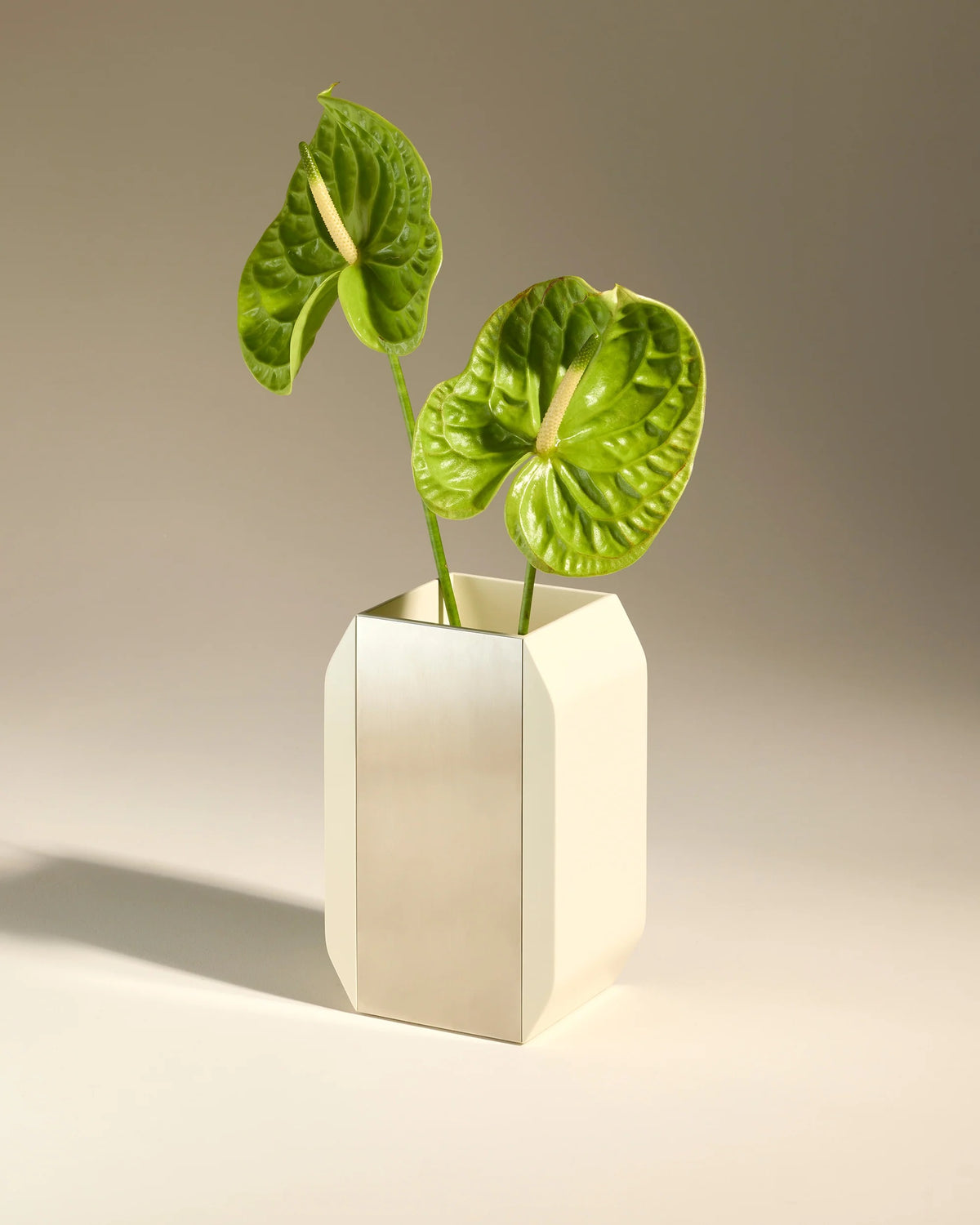 Vase Oscar - Ecru