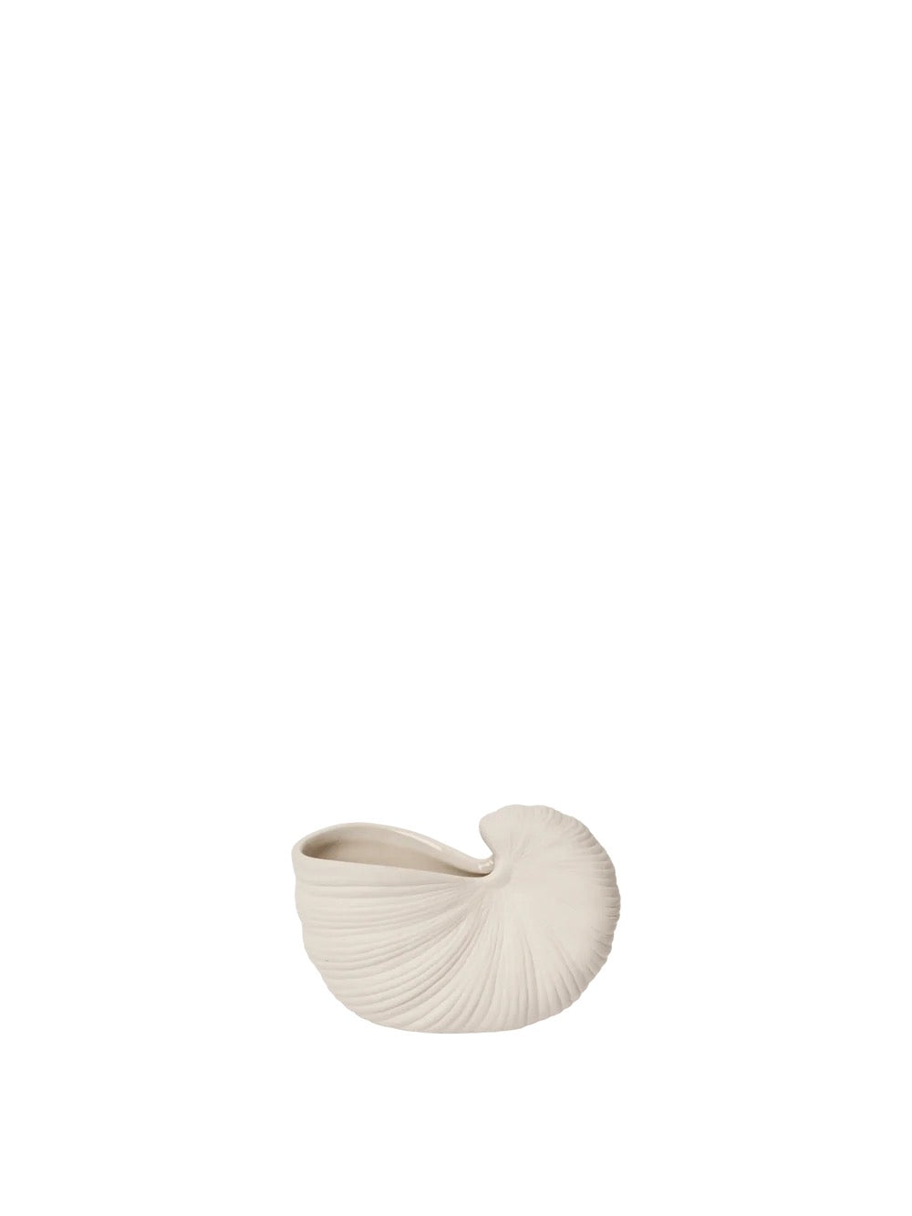Mini Shell Pot