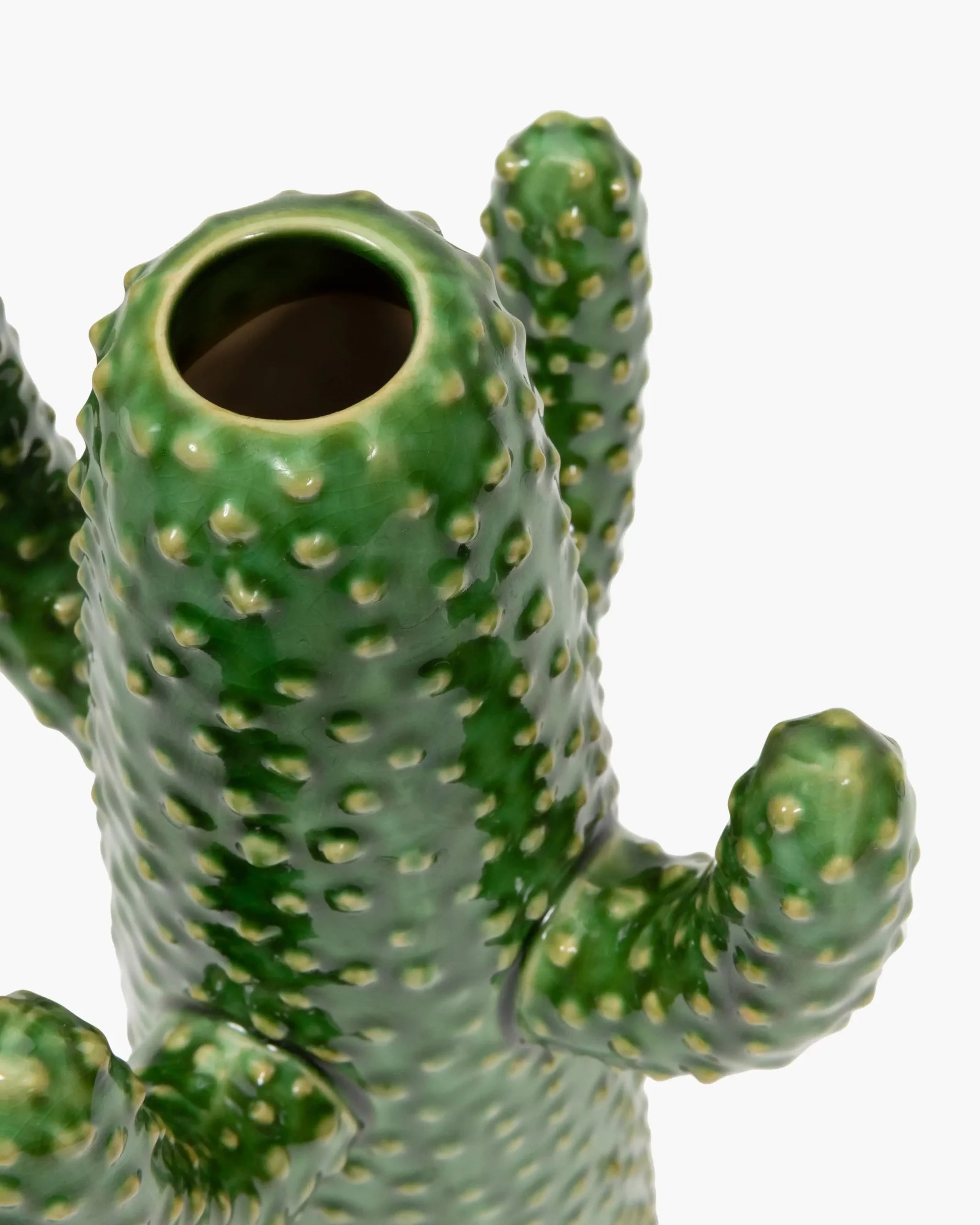 Vases Cactus