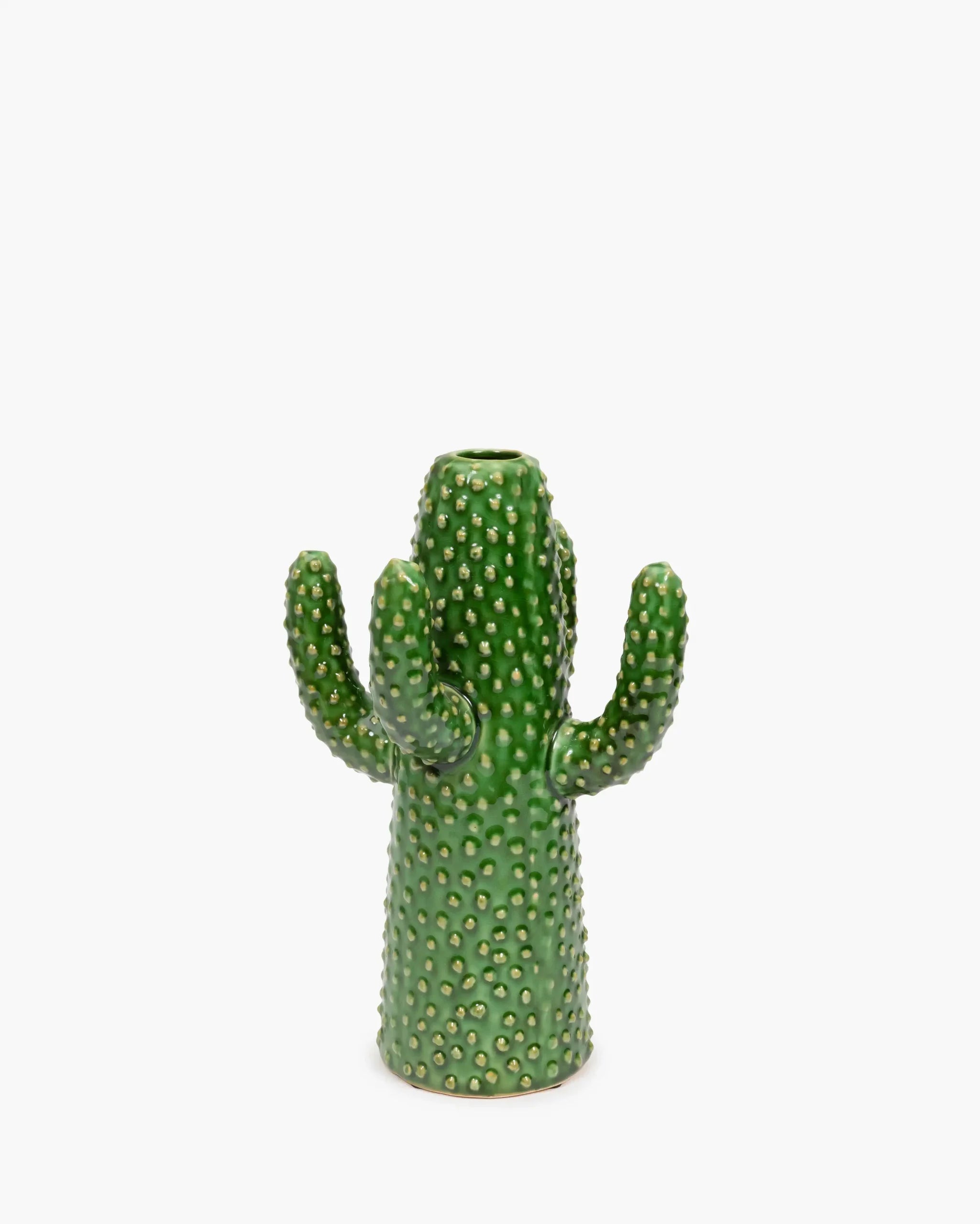 Vases Cactus