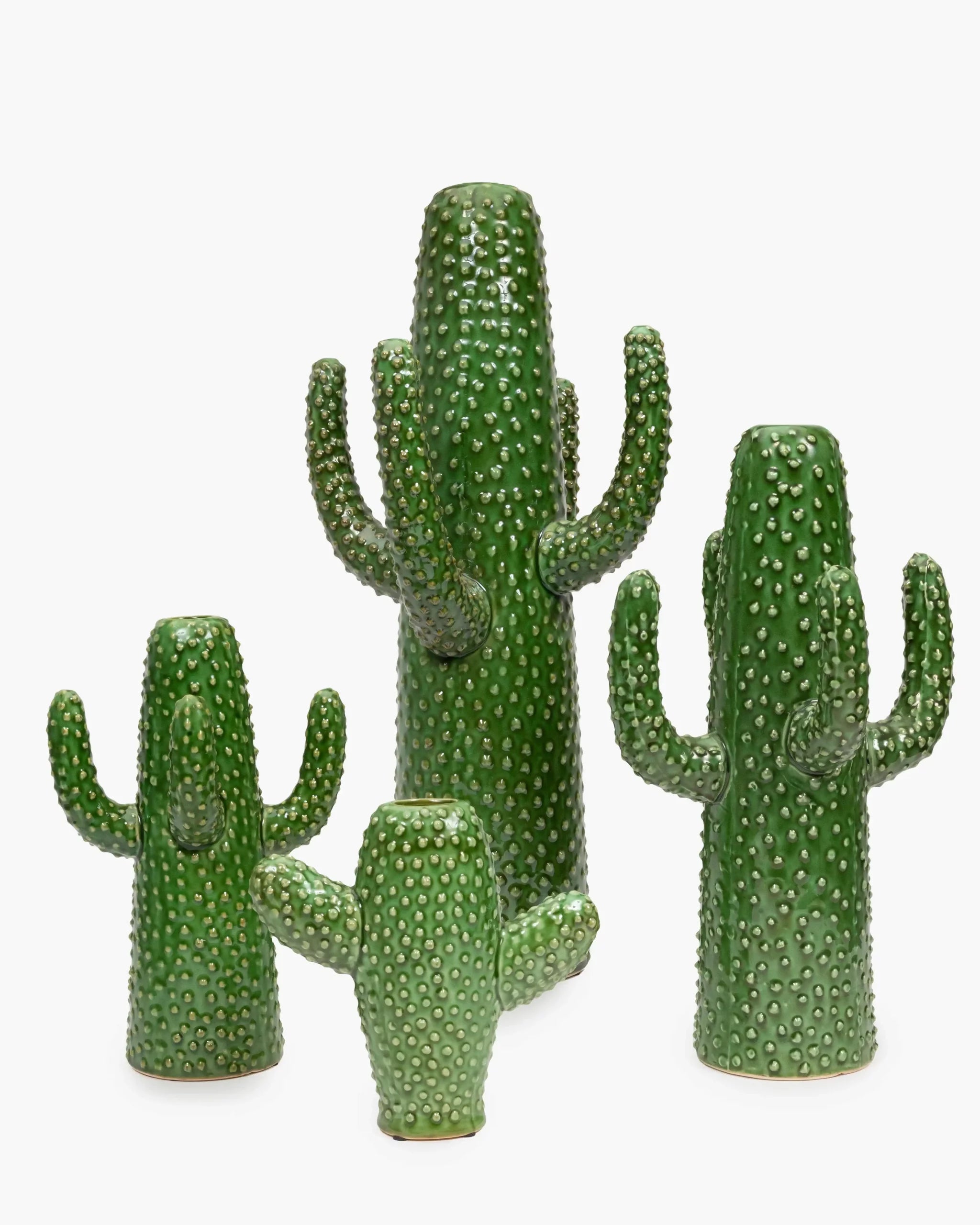 Vases Cactus